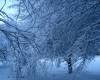 <b>Название: </b>Зима 2010 Рисунки природы. В обьятиях зимы, 
<b>Добавил:<b> rmc<br>Размеры: 1500x1125, 
281.9 Кб